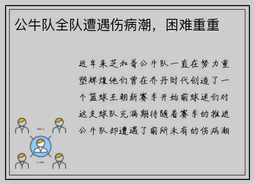 公牛队全队遭遇伤病潮，困难重重